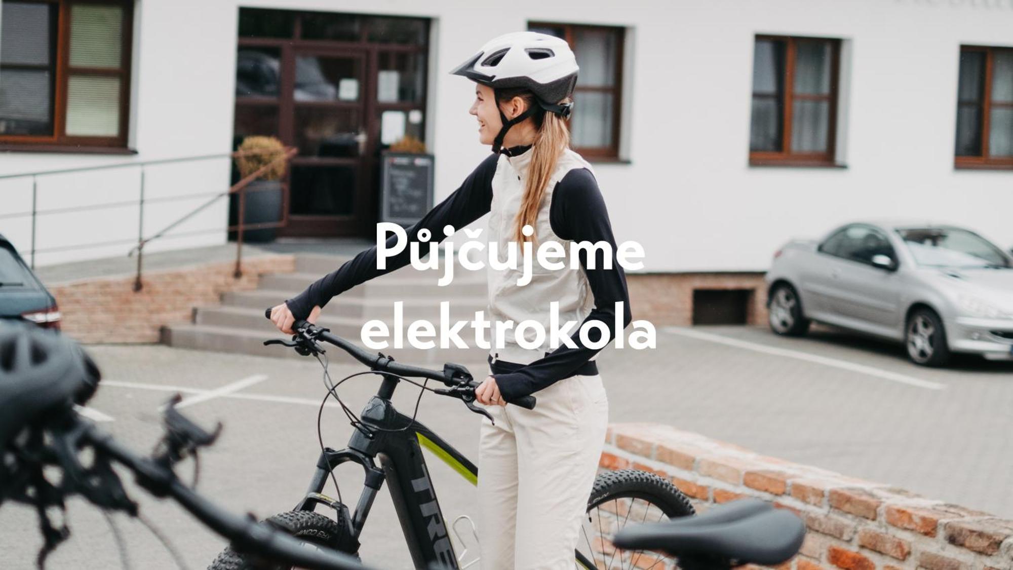 Amenity Penzion Horni Vestonice Eksteriør billede